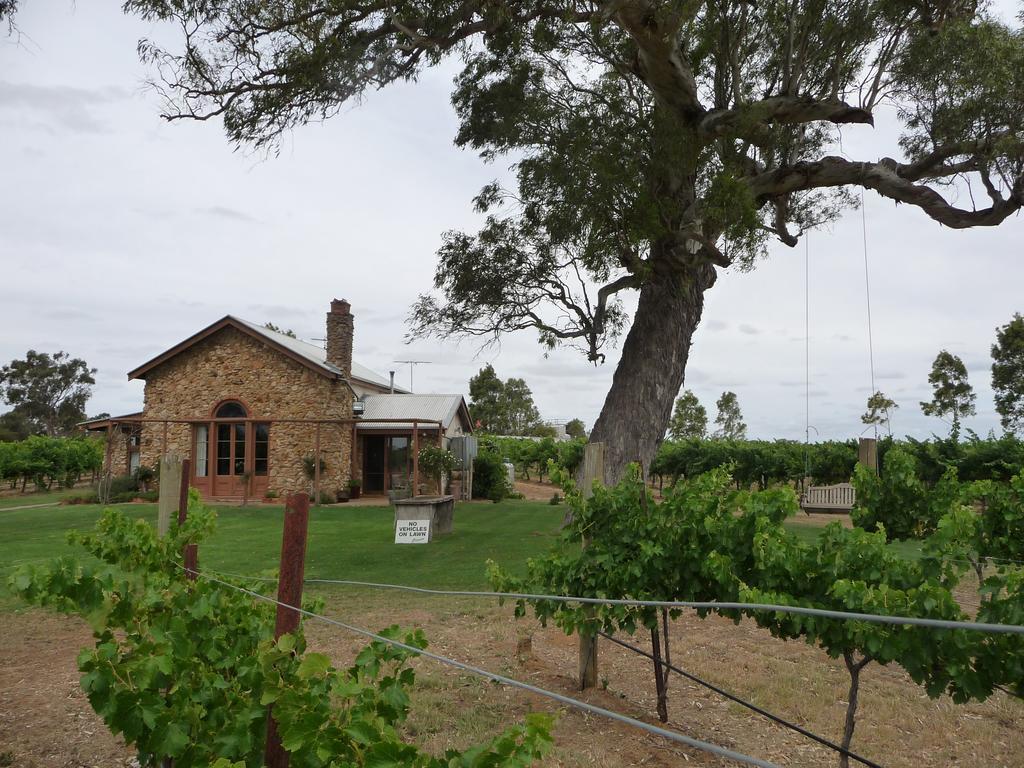 Highbank Country Accommodation Coonawarra Esterno foto