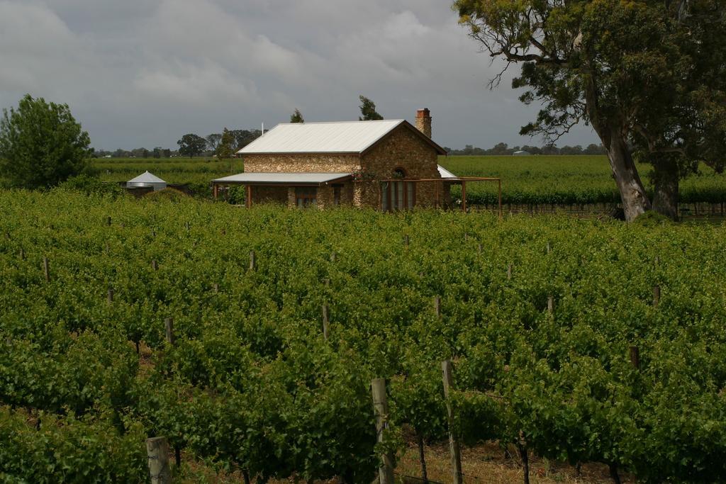 Highbank Country Accommodation Coonawarra Esterno foto
