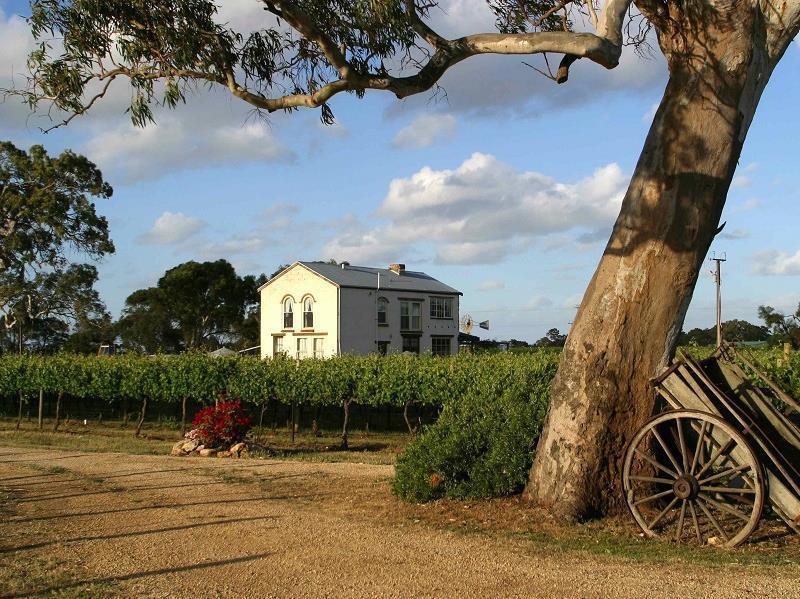 Highbank Country Accommodation Coonawarra Esterno foto